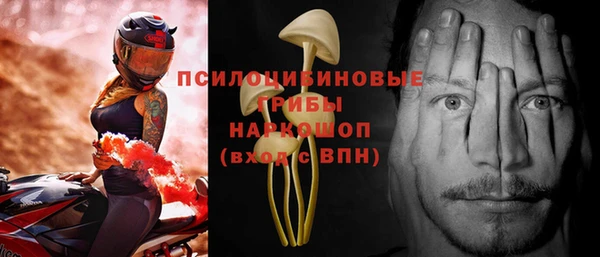 спайс Алзамай