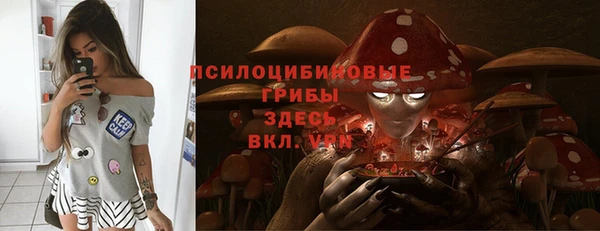 спайс Алзамай
