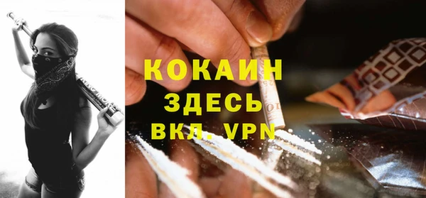 спайс Алзамай