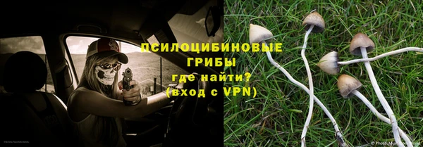 дмт Алексеевка