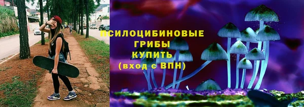 спайс Алзамай