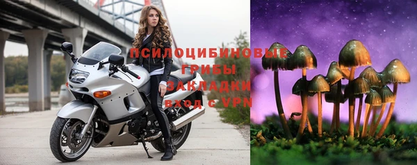 спайс Алзамай